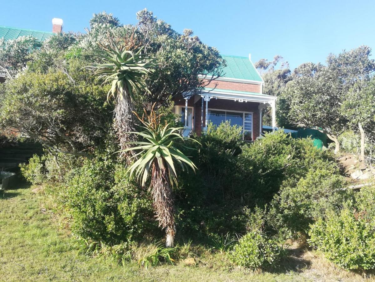Oppikrom Rivertide 36 St Francis Bay Eksteriør billede